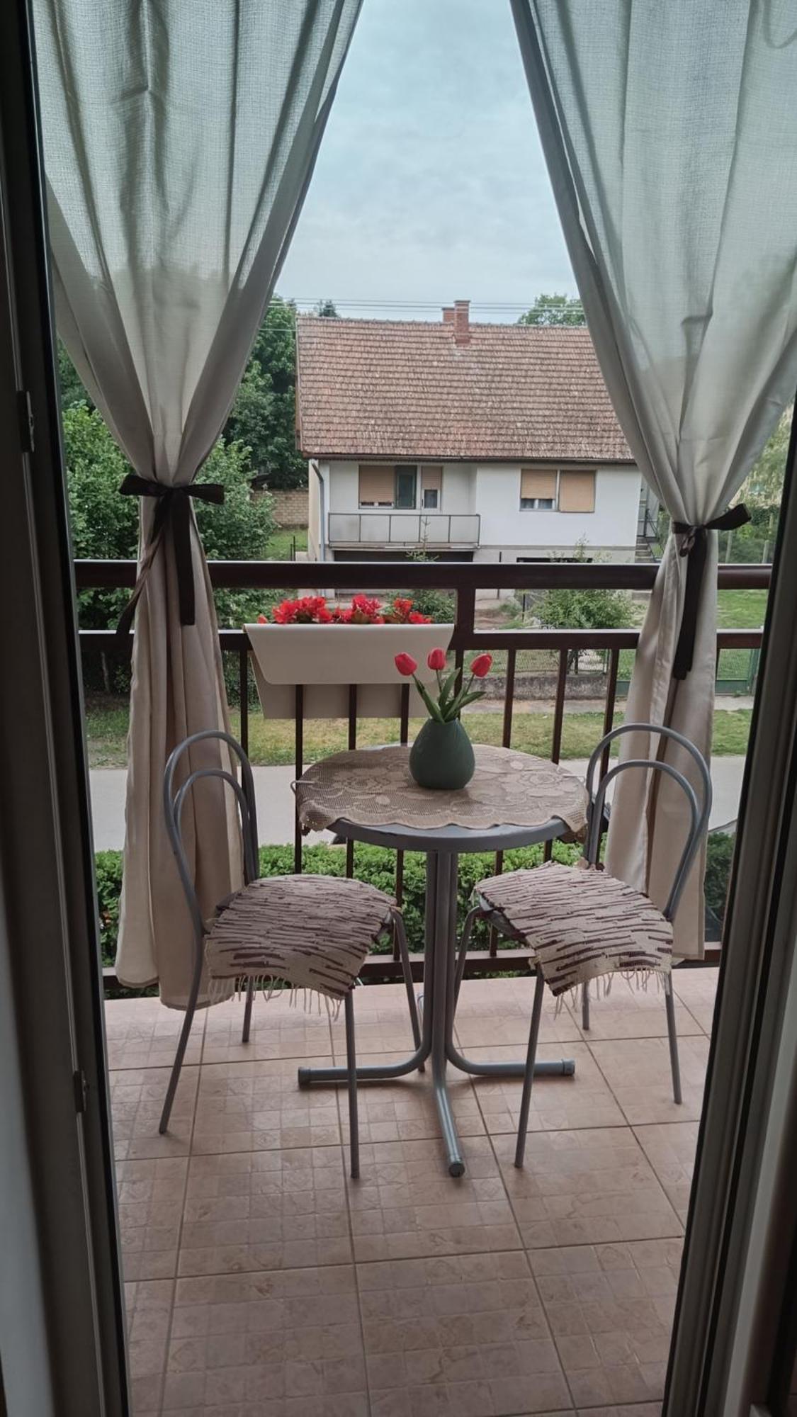 Dora Apartman Palić Εξωτερικό φωτογραφία