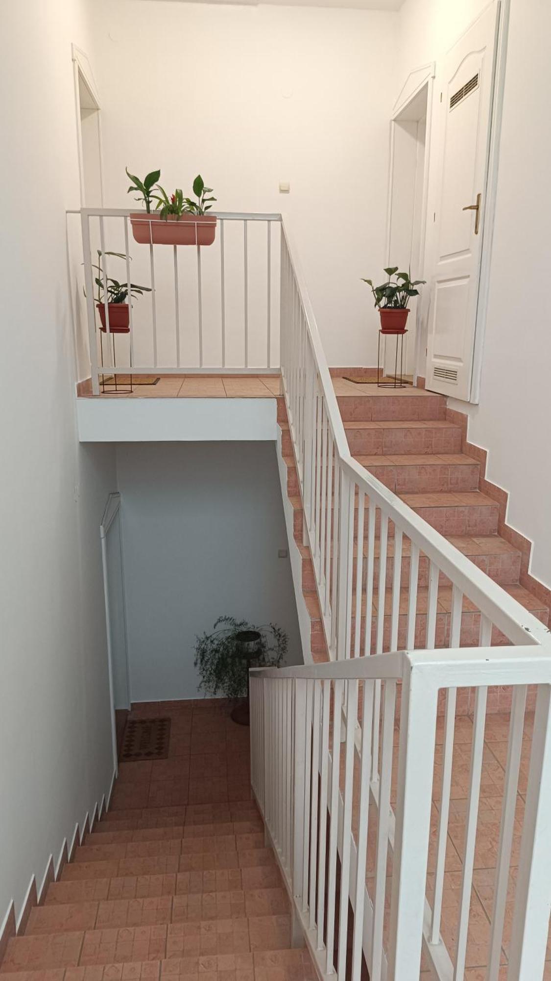 Dora Apartman Palić Εξωτερικό φωτογραφία